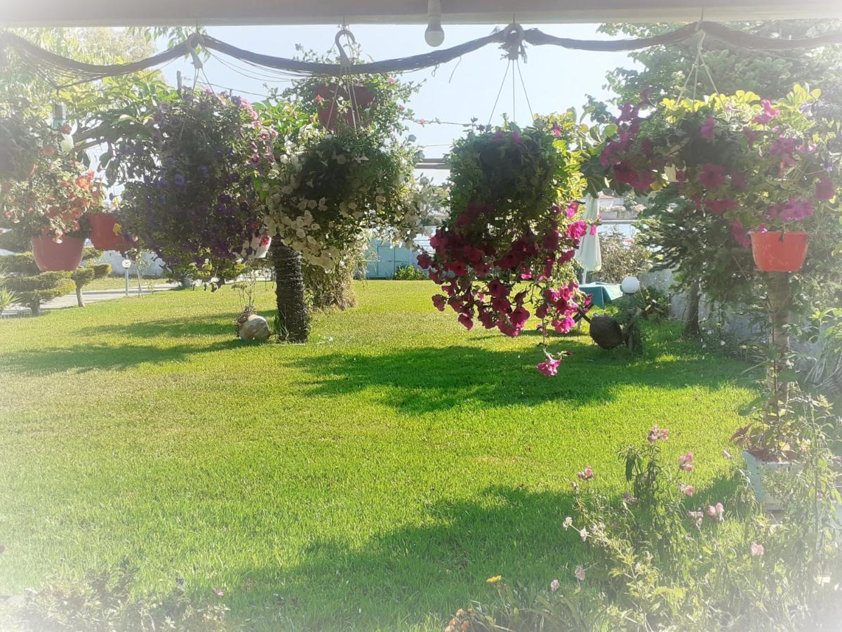 Top Floor On Villa, 3' From Center, By The Sea! Host Is Efi Kwsta بريفيزا المظهر الخارجي الصورة